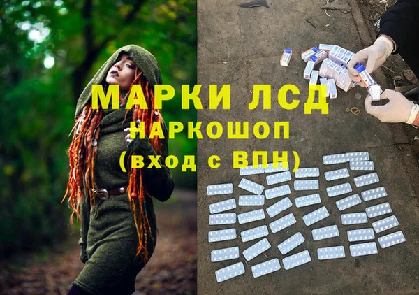 дживик Сосновый Бор