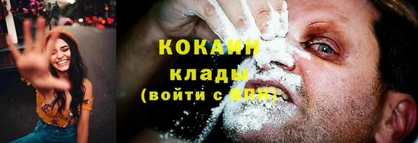 трава Сосновка
