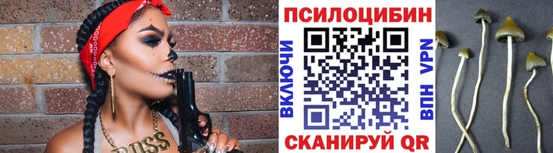 Галлюциногенные грибы Psilocybe  Новокубанск 